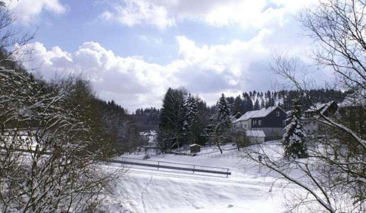 Ferienwohnung Ilse Und Eberhard Troeps Siegen Exterior foto